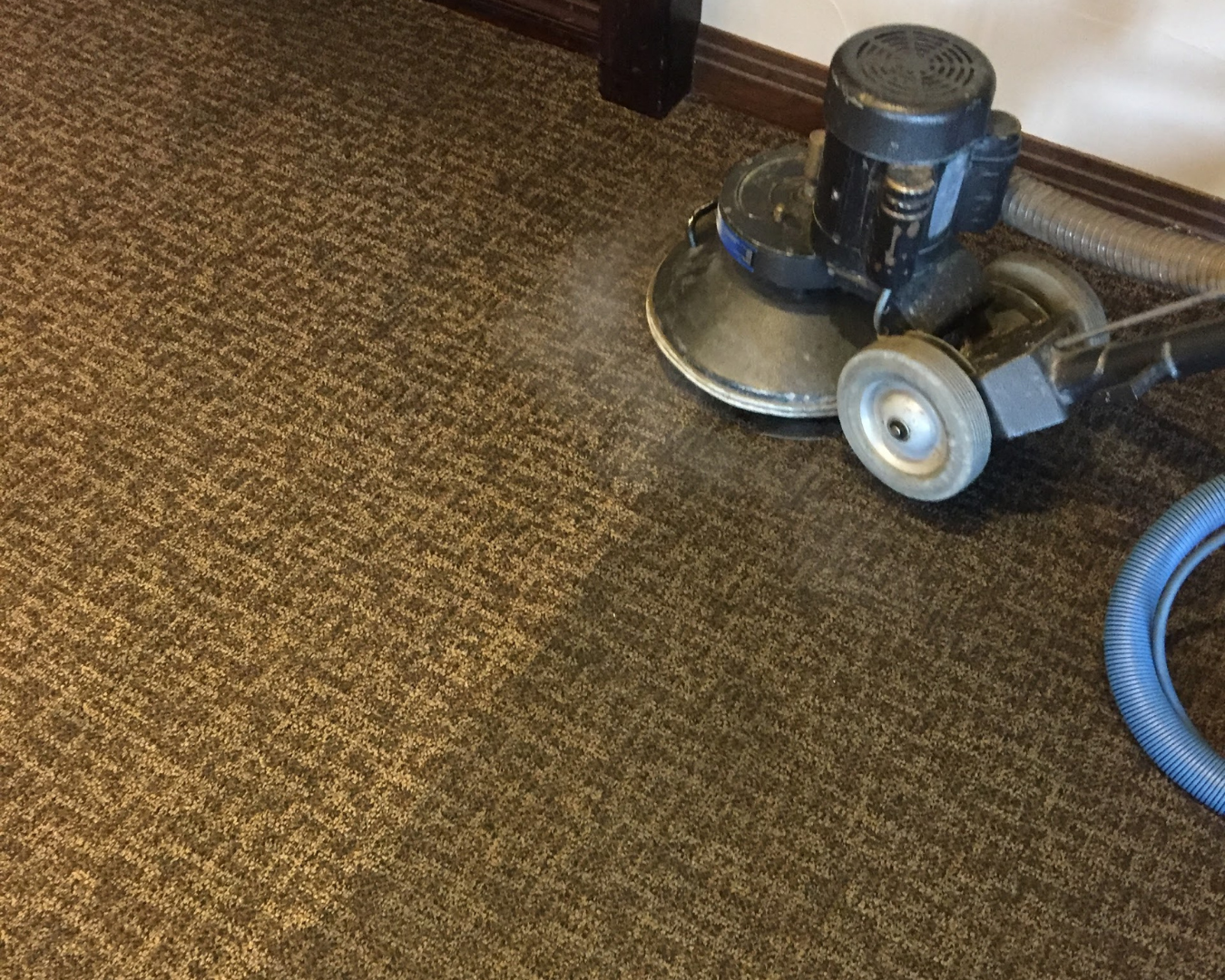 Upholstery & Fine Rug Cleaning